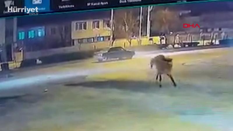 Bursa'da yola çıkan at trafik kazasına neden oldu, kaza güvenlik kamerasına yansıdı