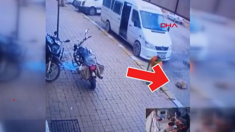 Ezilmekten son anda kurtulan köpeğe, duba fırlattı