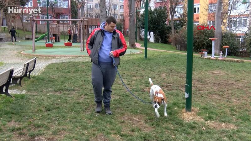 Üsküdar'da otizmli çocuğun köpeği öldürüldü, mahallede tartışma çıktı