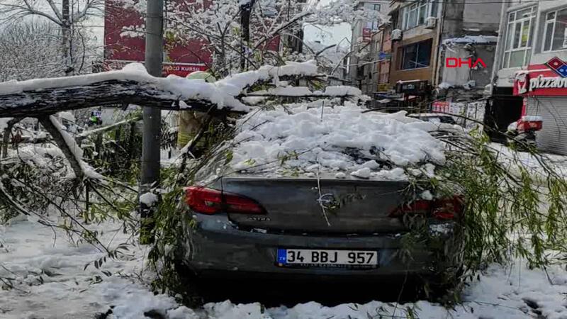 Beşiktaş'ta otomobillerin üzerine devrilen ağaçlar kesildi