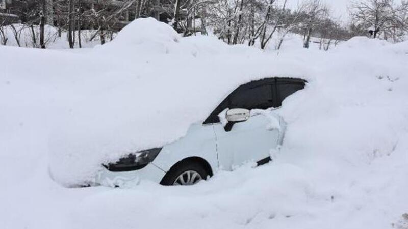 Bitlis'te yoğun kar: Tek katlı evler ve araçlar kara gömüldü