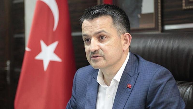 Bakan Pakdemirli, Sinop'ta açıklamalarda bulundu