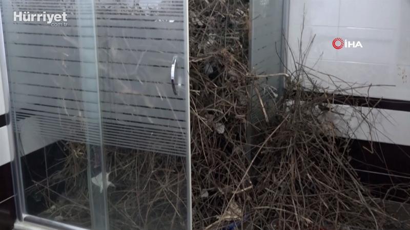 Kargalar banyo camından içeri girip duşakabini ağaç dallarıyla doldurdu