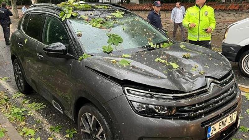 Üsküdar’da ağaç seyir halindeki araçların üzerine devrildi