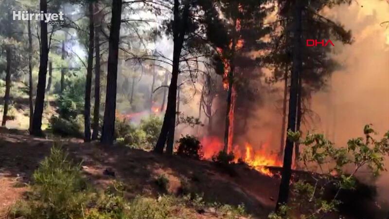 Belen'de korkutan orman yangını