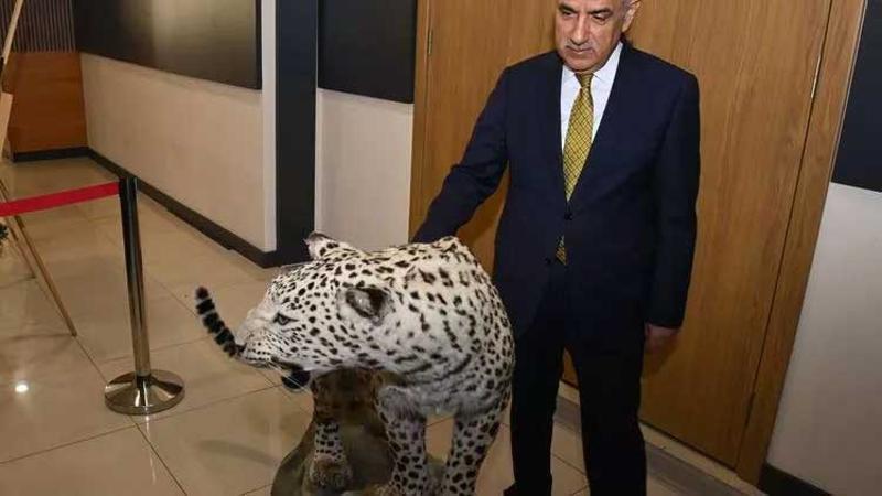 Bakan Kirişçi: Ülkemizde en son 1974 yılında görülen Anadolu Leoparı'nı tekrar görüyoruz