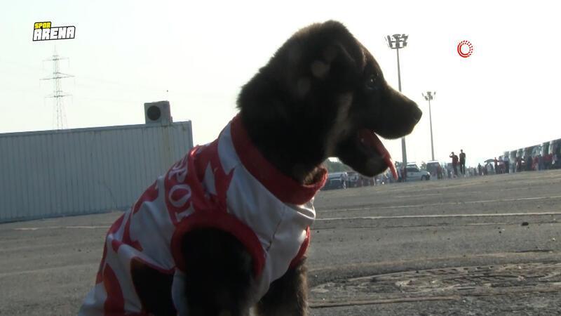 Türkiye Kupası finaline yavru köpeği ile geldi