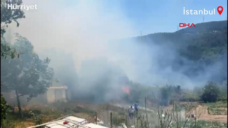 Beykoz'da orman yangını paniği