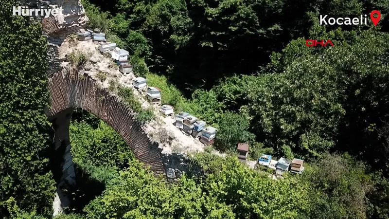 Tarihi su kemerini tahrip edip kovanları koydular! Taşlarını sökmüşler