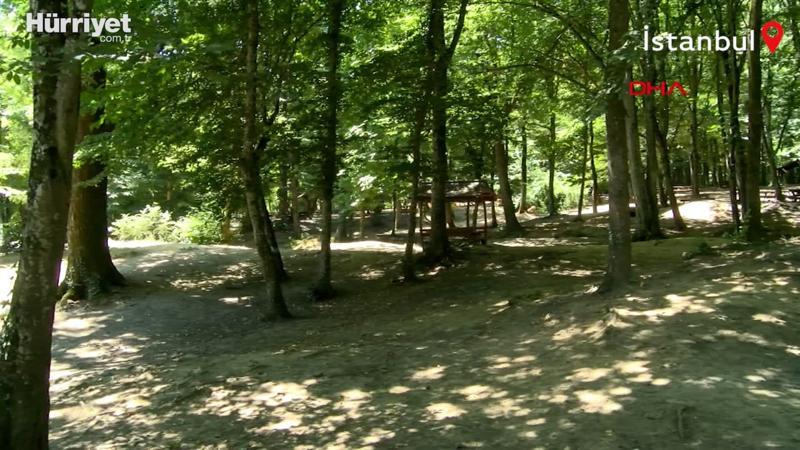 İstanbul'da ormanlarda ateş yakma yasağı başladı