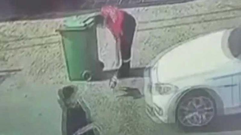 Ataşehir'de yavru köpeği otomobille ezip yoluna devam etti