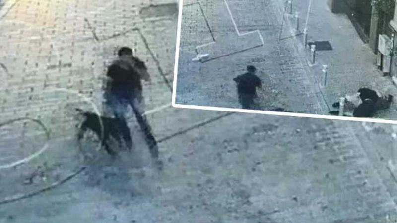 Beyoğlu'nda pitbullu gasp anları! Yakalandılar