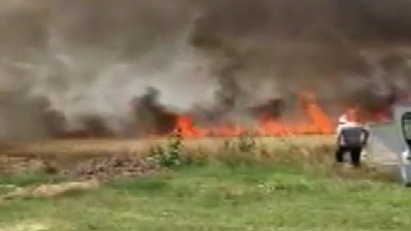 Tekirdağ Malkara ilçesinde 50 dönüm buğday tarlası yandı