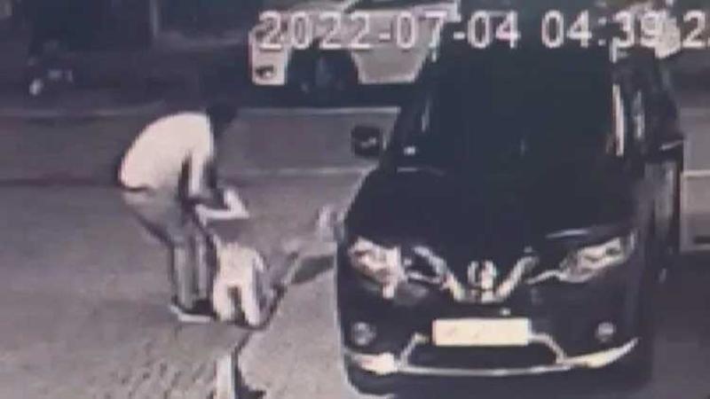 Sokak ortasında kadını darbeden saldırgana esnaf dayağı kamerada