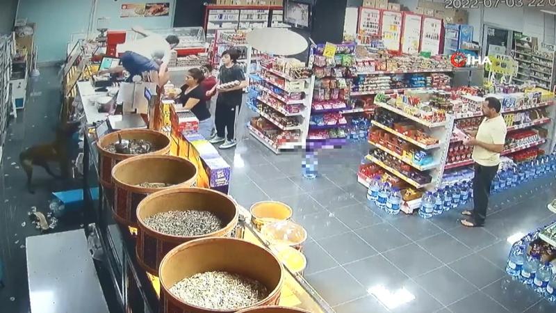 Sahibinin elinden kurtuldu, marketi birbirine kattı! O anlar kamerada
