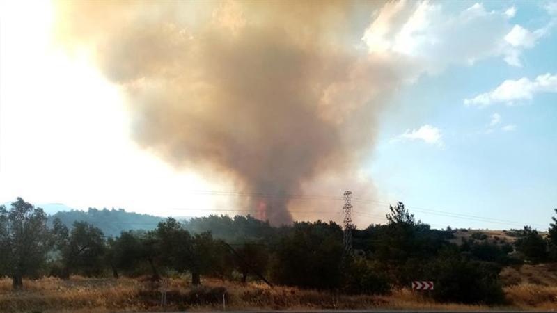 İzmir’de orman yangını