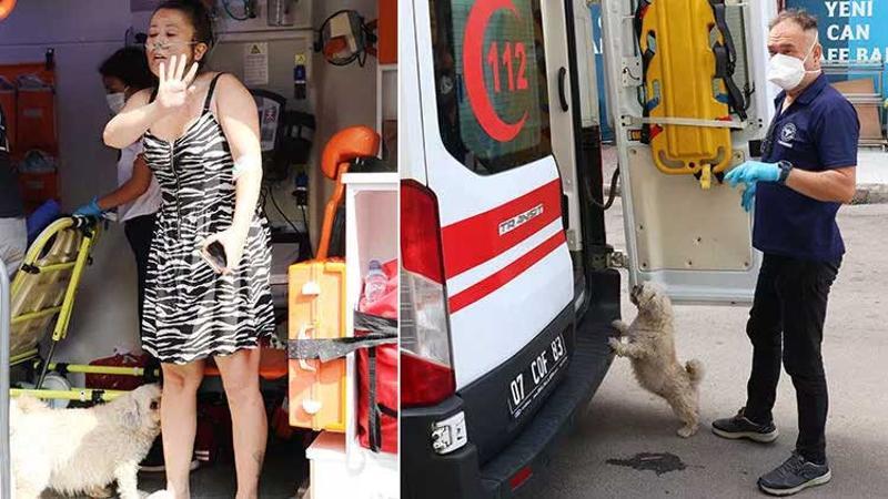 Ambulansta müdahale edilirken köpeği yanından ayrılmadı