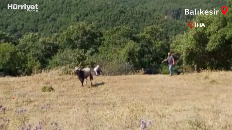 Bayramda kaçan daha 26 günün sonra yakalanabildi