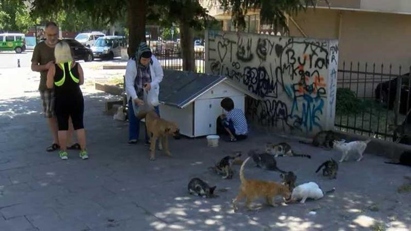 Sokakta kedi besledikleri için darbedildiler iddiası