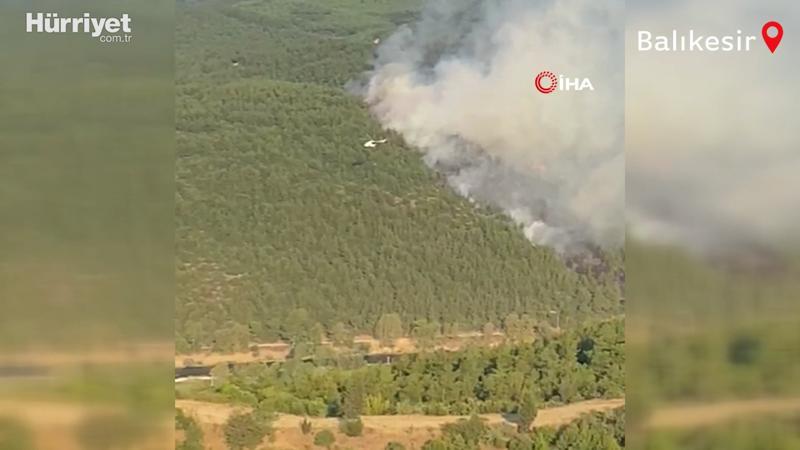 Balıkesir'de orman yangını