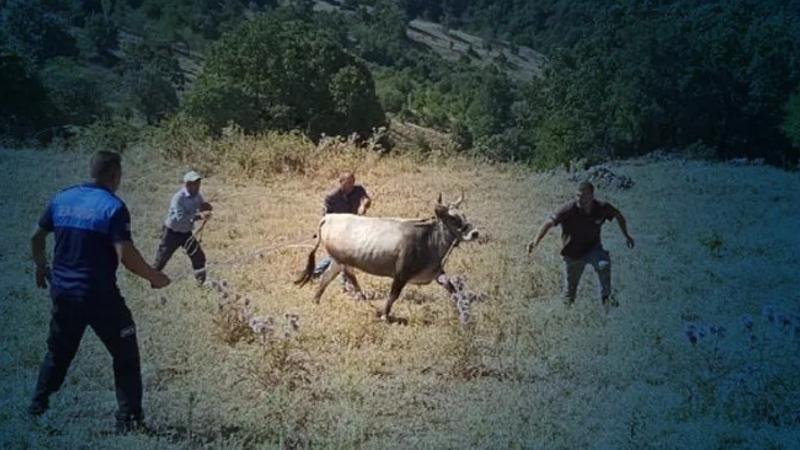 Kurban Bayramı'nda kaçıp 25 gün sonra yakalanmıştı... Ahbap satın aldı