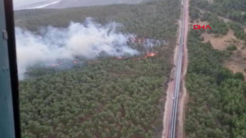 Manisa Soma'da orman yangını