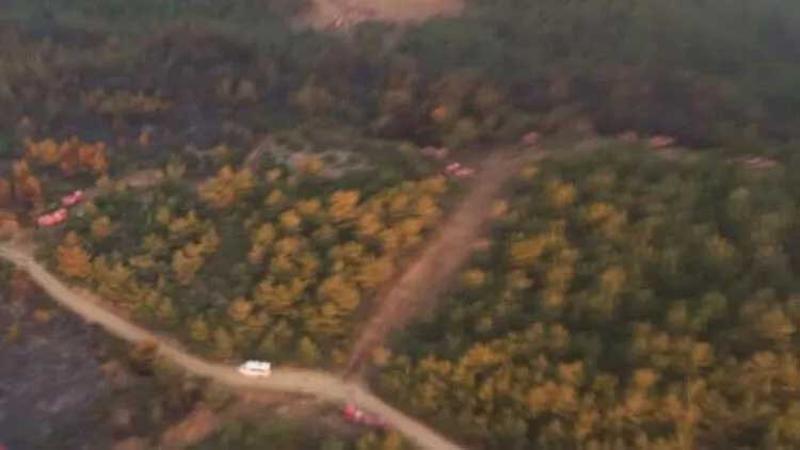 Soma'daki orman yangını kontrol altına alındı
