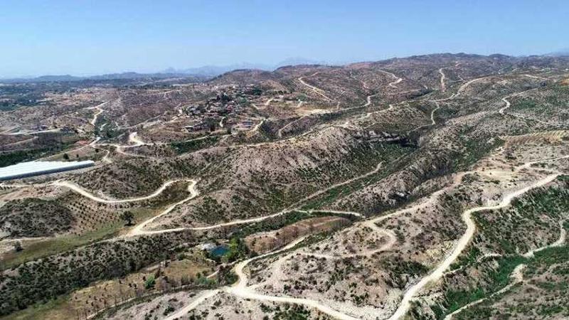 Manavgat'ta yanan alanlarda yaban hayatı yeniden canlanıyor