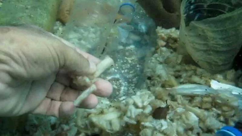 Konyaaltı Sahili'ne atılan izmaritler ve çöpler, deniz dibinde kirliliğe neden oluyor