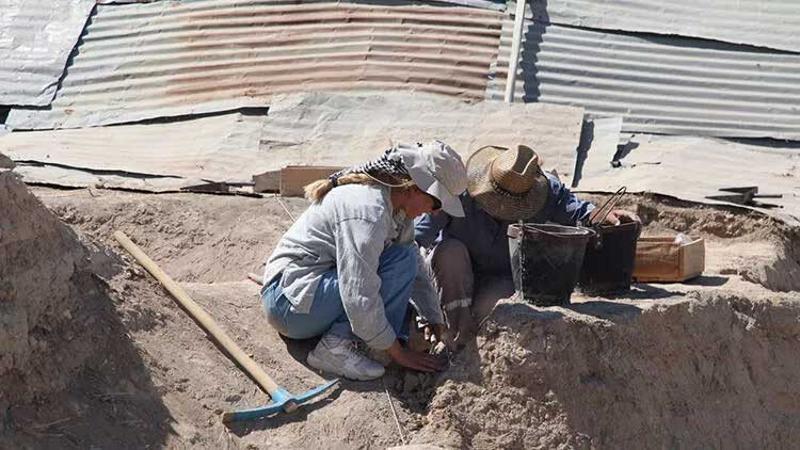 Arslantepe Höyüğü'nde kazı çalışmaları yeniden başladı