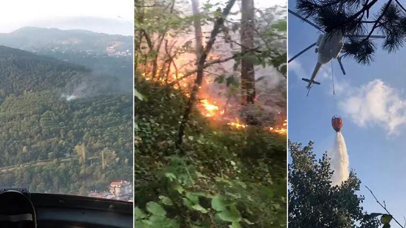 Uludağ'da orman yangını