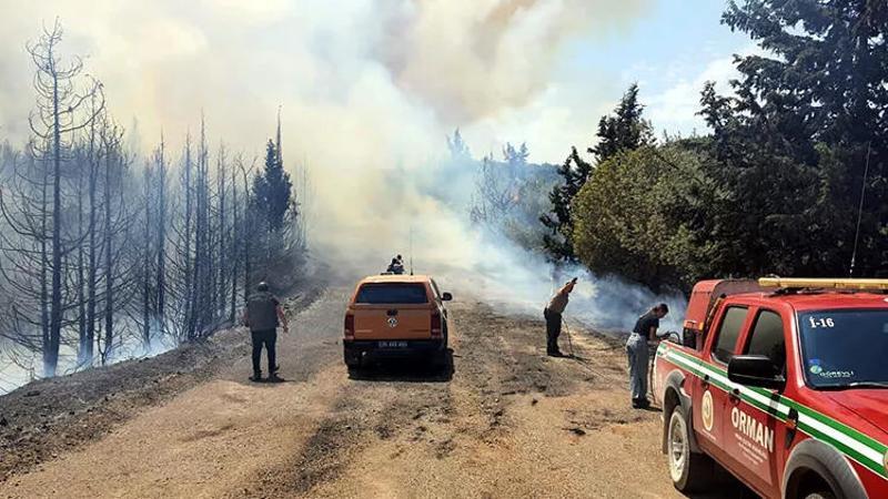 İzmir Buca'da orman yangını