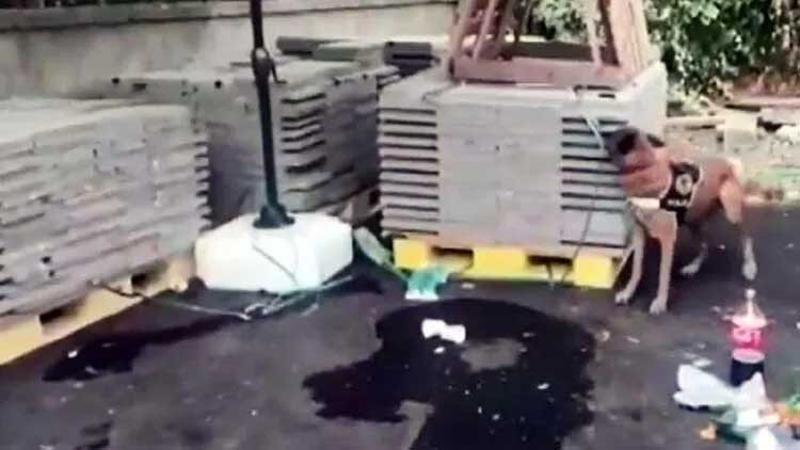 Bakan Soylu duyurdu: 107 kilo uyuşturucu ele geçirildi, 4 kişi yakalandı