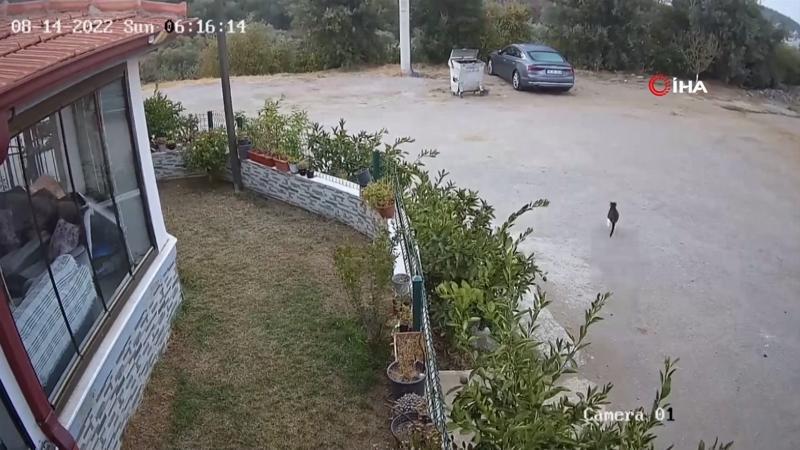 İzmir’deki 5 büyüklüğündeki deprem kamerada