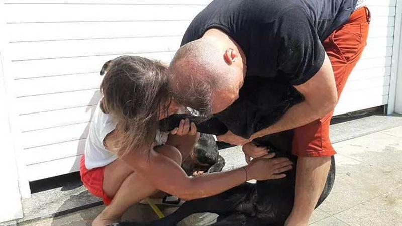 Köpeğinin yaşaması için dakikalarca kalp masajı yaptı