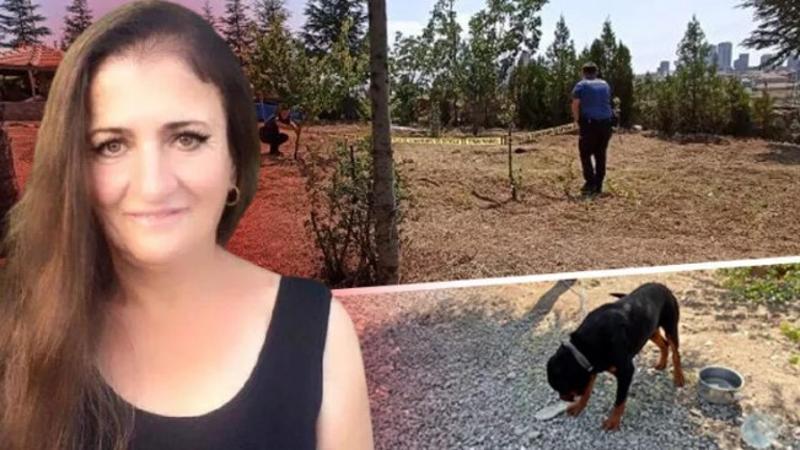 Emlak firmasının köpeği toprağı eşeledi, cinayet ortaya çıktı