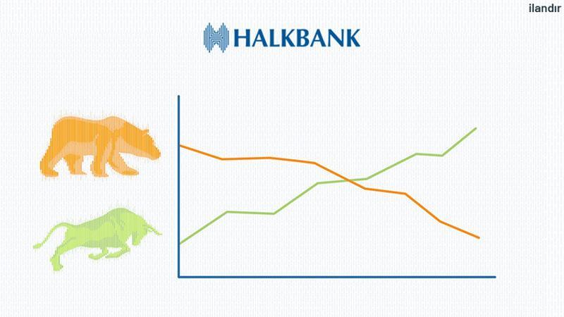 Ayı ve boğa piyasası nedir?