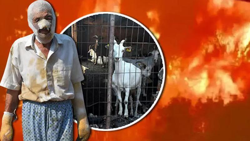 Hayvanlarını kurtarmak isterken yaralandı... Çanakkale'deki orman yangınında yaşadığı dehşeti anlattı