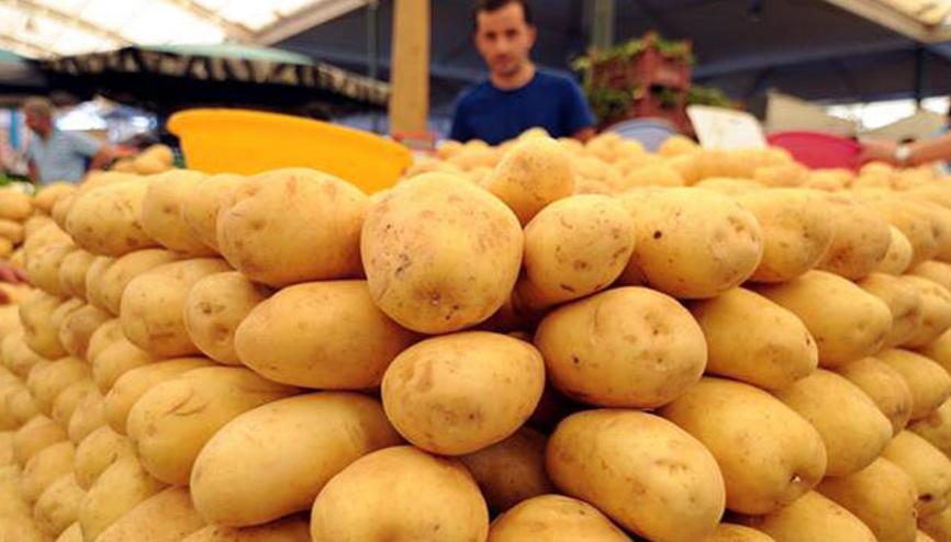 izmir patates hal fiyatları