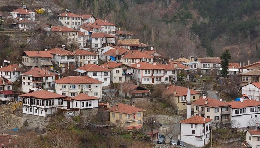 goynuk haberleri son dakika goynuk hakkinda guncel haber ve bilgiler