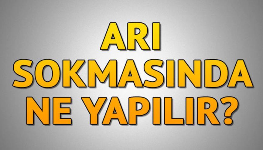 ari sokmasi haberleri son dakika ari sokmasi hakkinda guncel haber ve bilgiler