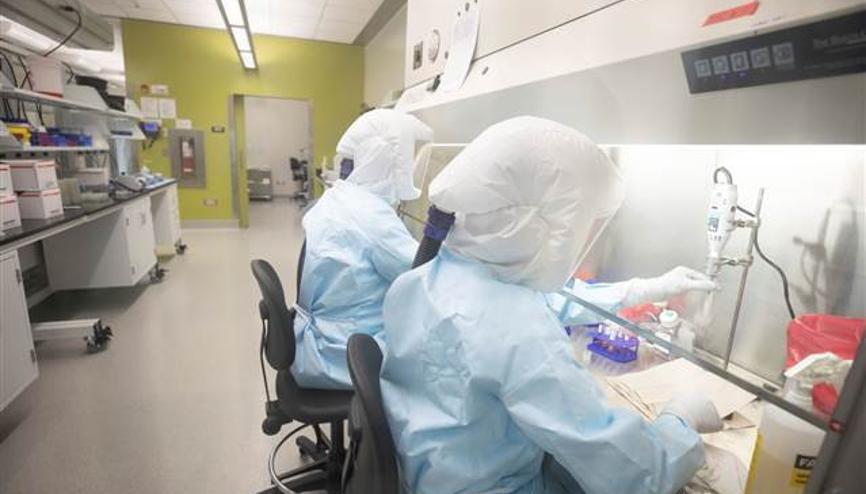 Son dakika haberler: Avustralyalı bilim insanları koronavirüsü kopyaladı Çin dışında ilk kez...