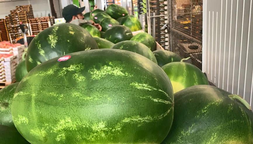 Toptanci Hali Haberleri Son Dakika Toptanci Hali Hakkinda Guncel Haber Ve Bilgiler