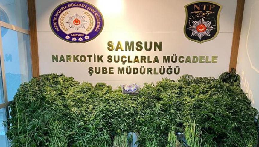 hazine arazisi haberleri son dakika hazine arazisi hakkinda guncel haber ve bilgiler