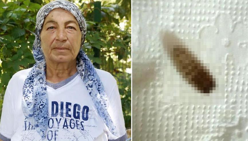 kurtcuk haberleri son dakika kurtcuk hakkinda guncel haber ve bilgiler