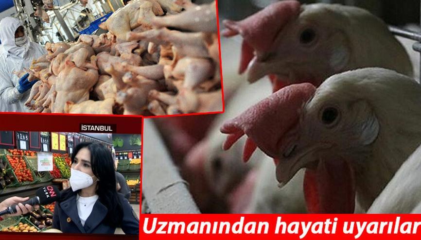 Tavuk Haberleri Son Dakika Tavuk Hakkinda Guncel Haber Ve Bilgiler Tavuk Haberleri Son Dakika Tavuk Hakkinda Guncel Haber Ve Bilgiler