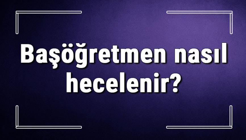 basogretmen haberleri son dakika basogretmen hakkinda guncel haber ve bilgiler