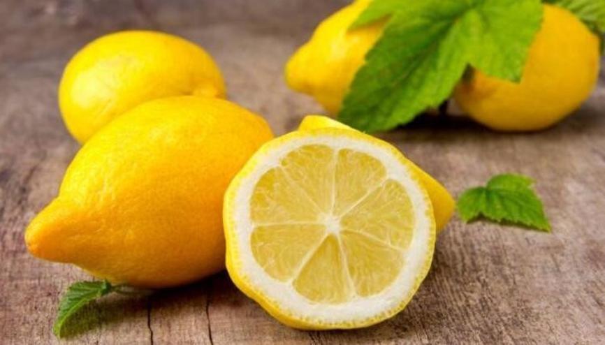 limon ihracati haberleri son dakika limon ihracati hakkinda guncel haber ve bilgiler