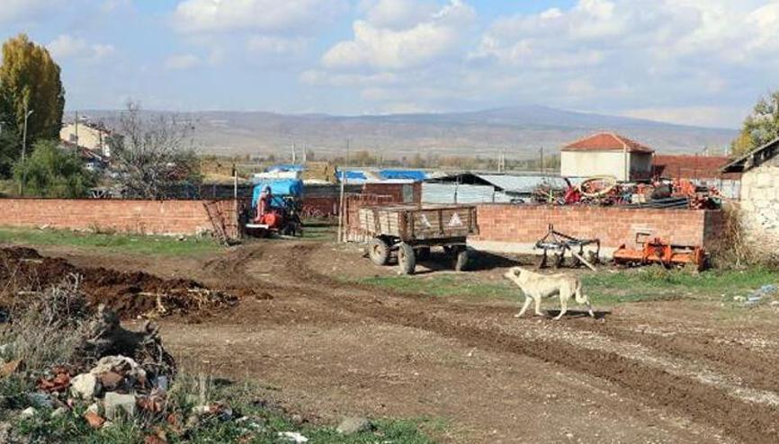 Kuduz Haberleri Son Dakika Kuduz Hakkinda Guncel Haber Ve Bilgiler