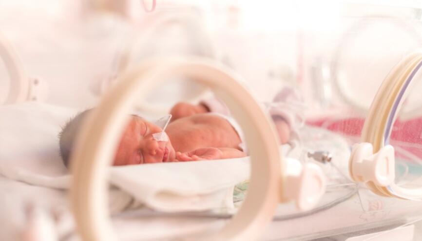 premature bebek haberleri son dakika premature bebek hakkinda guncel haber ve bilgiler